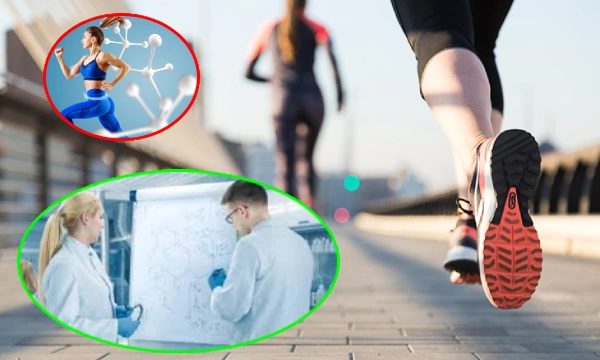solo cardio me mantiene fitness Solo ejercicios de cardio me mantienen fitness
